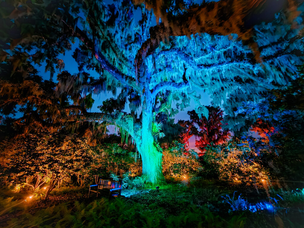 Brookgreen Garden